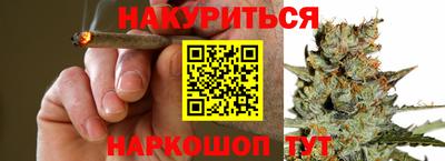 мяу мяу мука Ачхой-Мартан