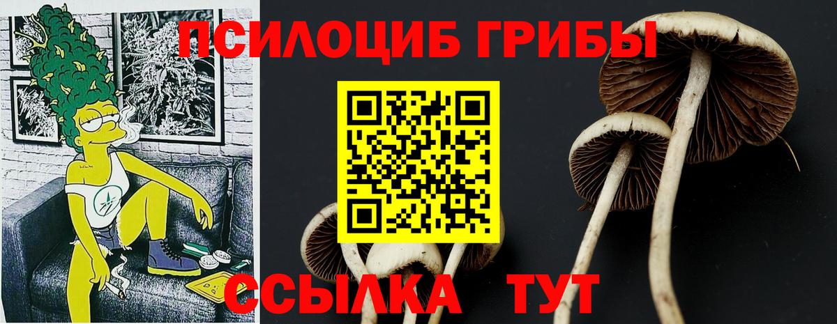 Псилоцибиновые грибы MAGIC MUSHROOMS Алушта